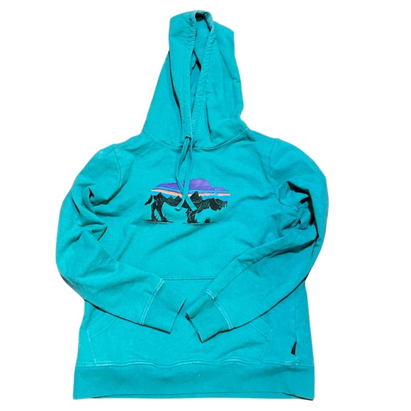 Patagonia unisex Blue Hoodie size medium - Picture 1 of 5